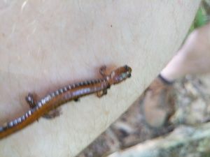 Meet your Posher, Stephen hunt